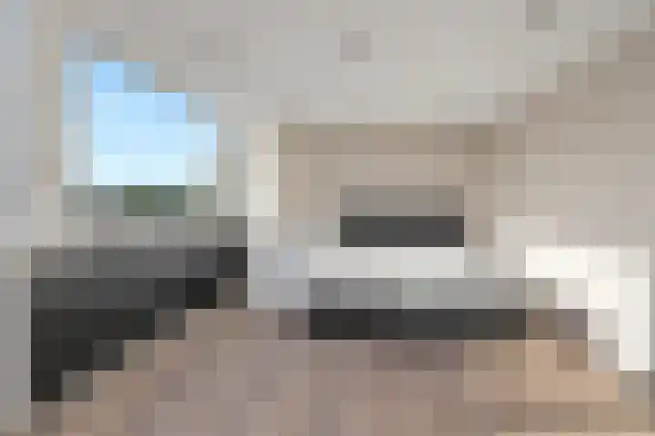 Grote Beer 9 Hoogeveen thumbnail 31