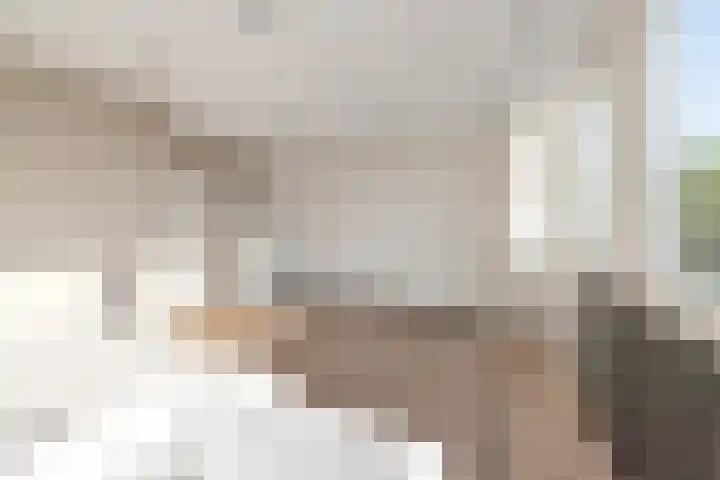 Grote Beer 9 Hoogeveen thumbnail 33