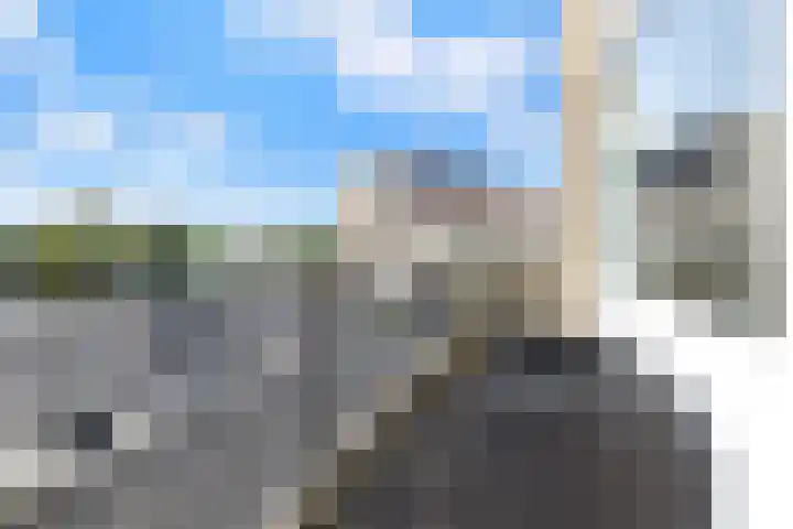 Grote Beer 9 Hoogeveen thumbnail 35