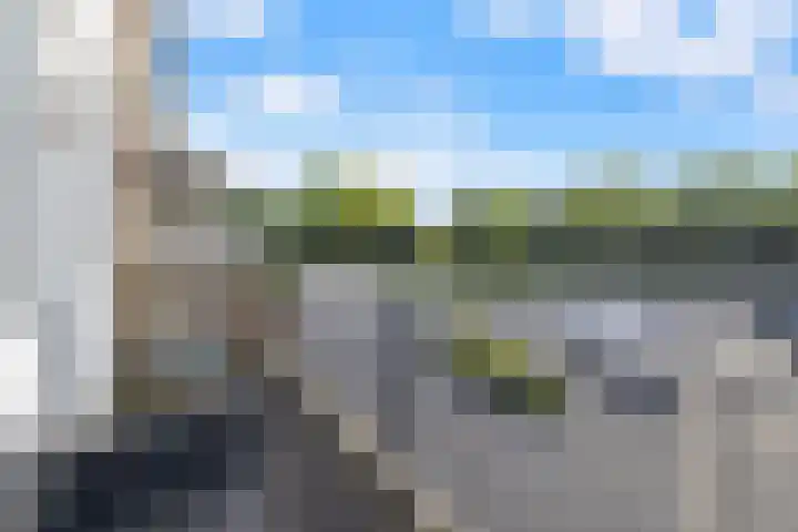 Grote Beer 9 Hoogeveen thumbnail 36