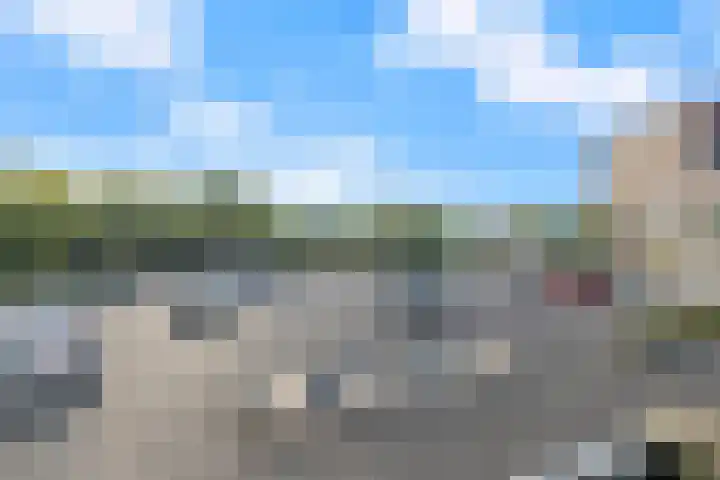Grote Beer 9 Hoogeveen thumbnail 37