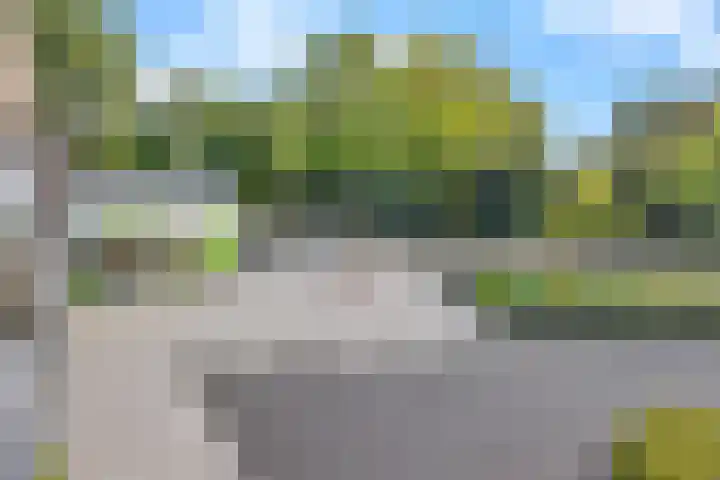 Grote Beer 9 Hoogeveen thumbnail 38