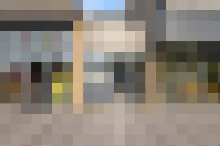 Grote Beer 9 Hoogeveen thumbnail 4