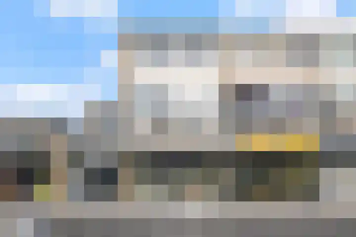 Grote Beer 9 Hoogeveen thumbnail 45