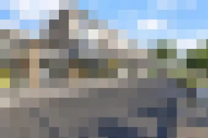 Grote Beer 9 Hoogeveen thumbnail 5