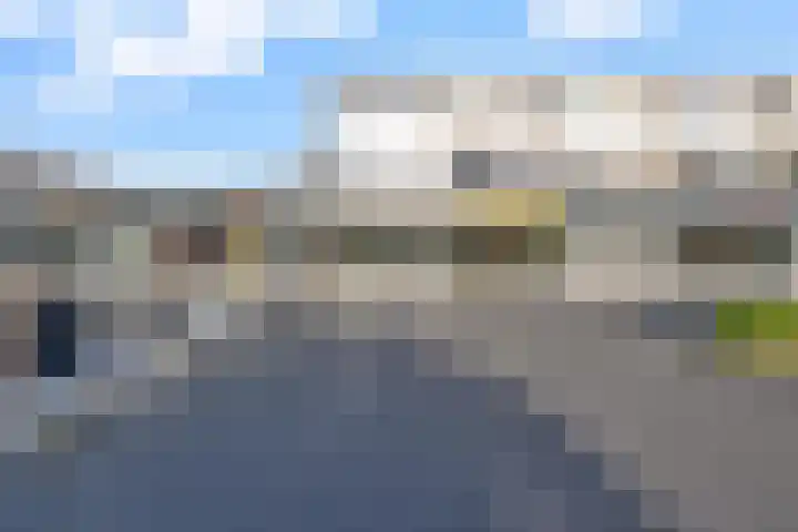 Grote Beer 9 Hoogeveen thumbnail 6