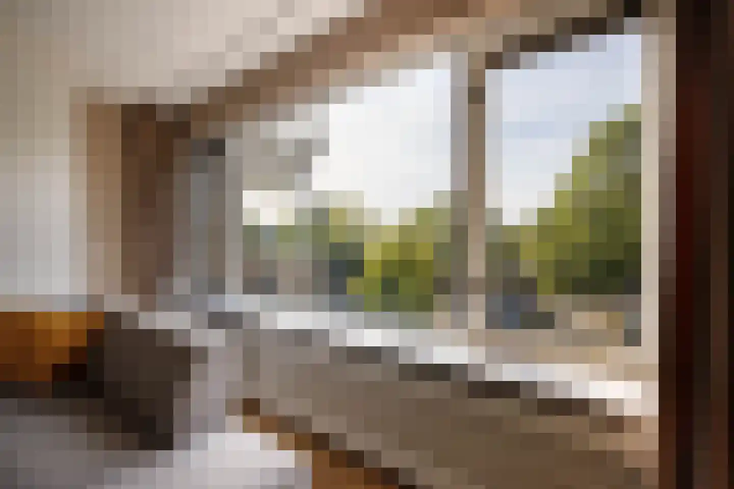 Grote Beer 952 Rotterdam thumbnail 10