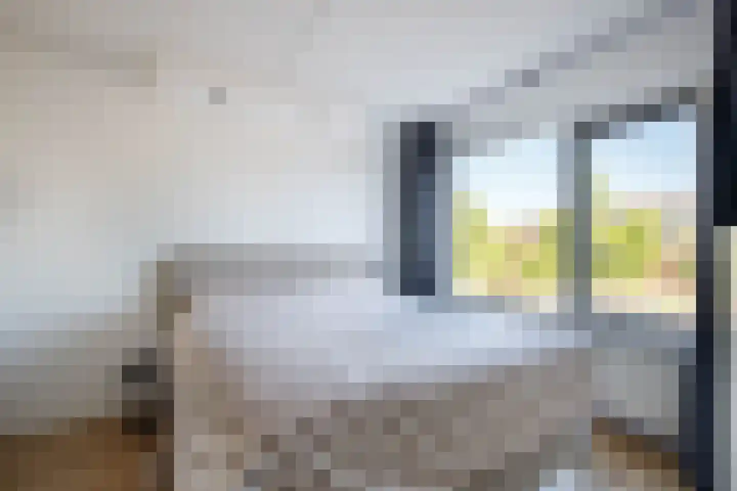 Grote Beer 952 Rotterdam thumbnail 17