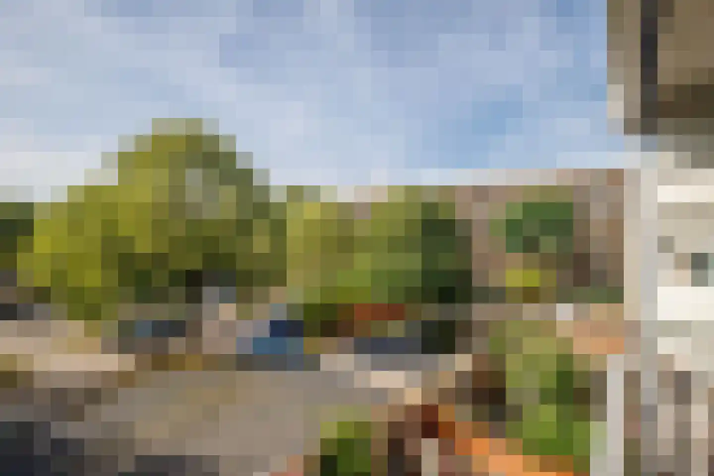 Grote Beer 952 Rotterdam thumbnail 26