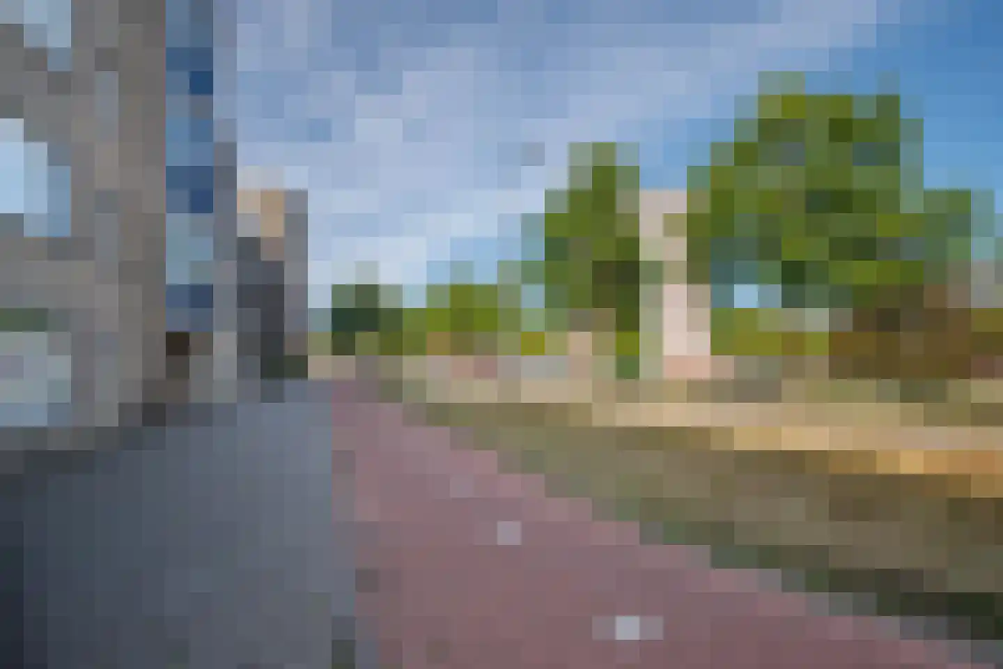 Grote Beer 952 Rotterdam thumbnail 27