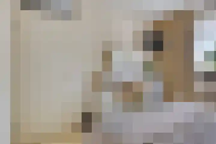 Grote Beerlaan 1 E Eindhoven thumbnail 12