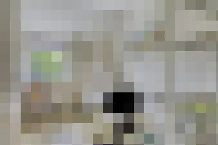 Grote Beerlaan 1 E Eindhoven thumbnail 14