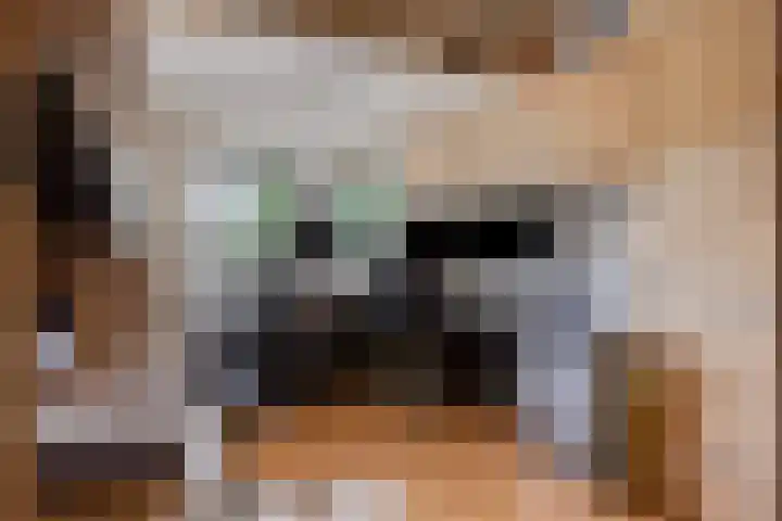 Grote Beerlaan 1 E Eindhoven thumbnail 18