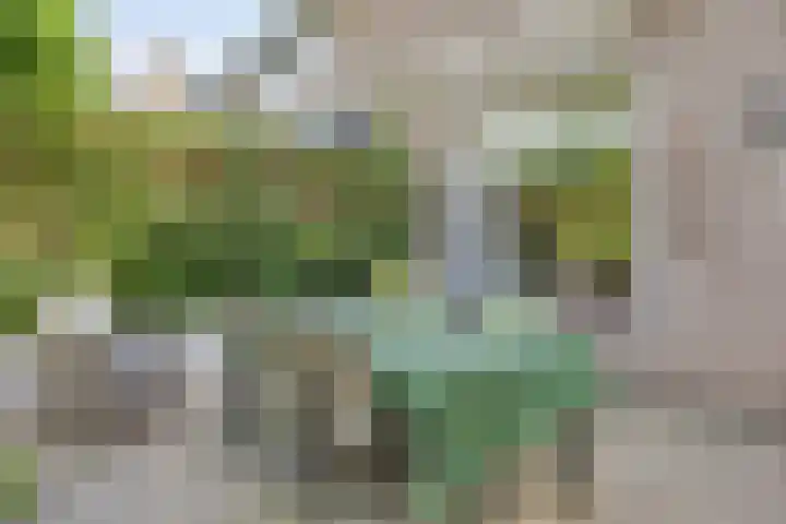 Grote Beerlaan 1 E Eindhoven thumbnail 20