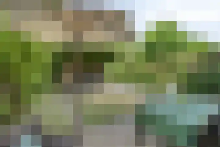 Grote Beerlaan 1 E Eindhoven thumbnail 21