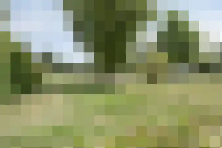 Grote Beerlaan 1 E Eindhoven thumbnail 25