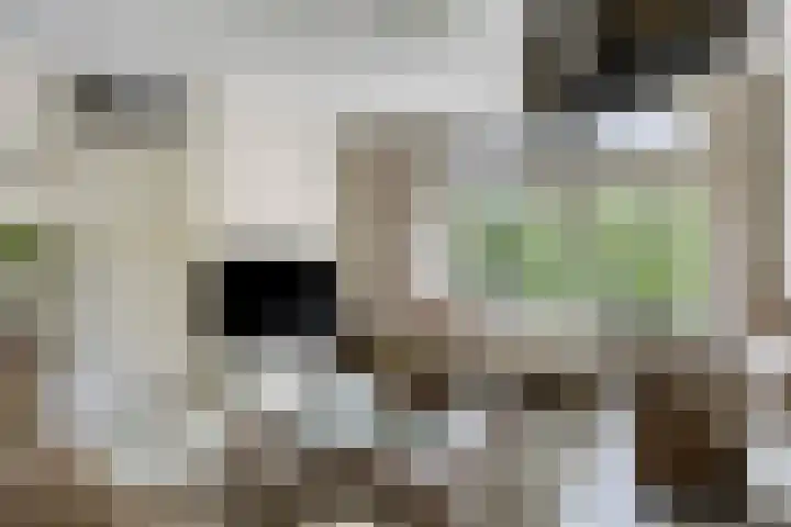 Grote Beerlaan 1 E Eindhoven thumbnail 5