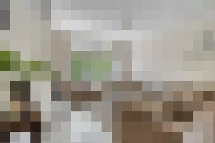 Grote Beerlaan 1 E Eindhoven thumbnail 6