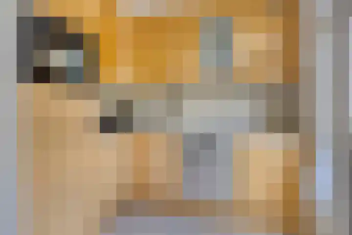 Grote Beerlaan 1 E Eindhoven thumbnail 9