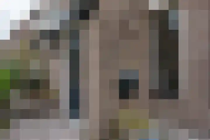 Grote Beerlaan 2 Son en Breugel thumbnail 10