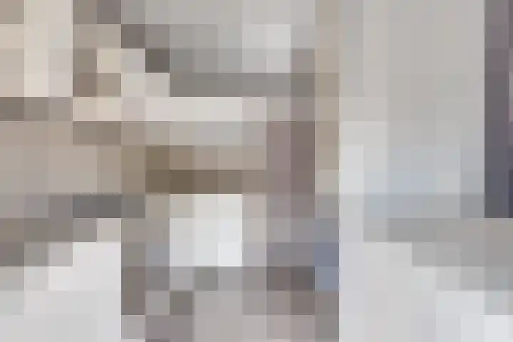 Grote Beerlaan 2 Son en Breugel thumbnail 18