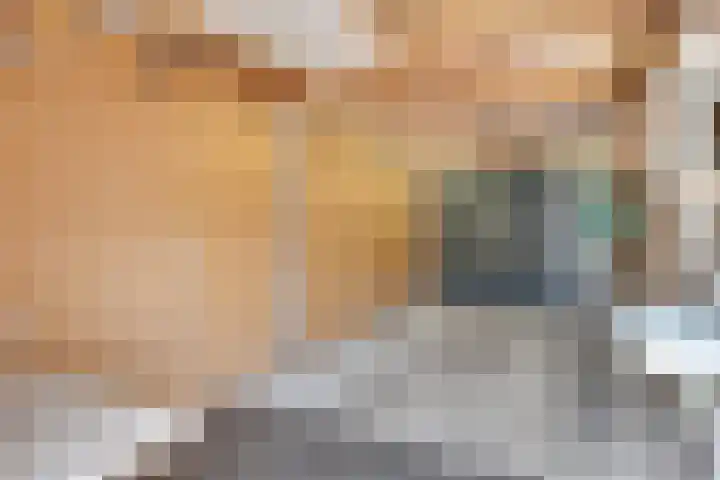 Grote Beerlaan 2 Son en Breugel thumbnail 19