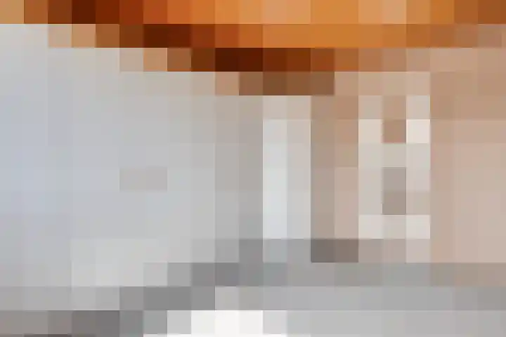 Grote Beerlaan 2 Son en Breugel thumbnail 26