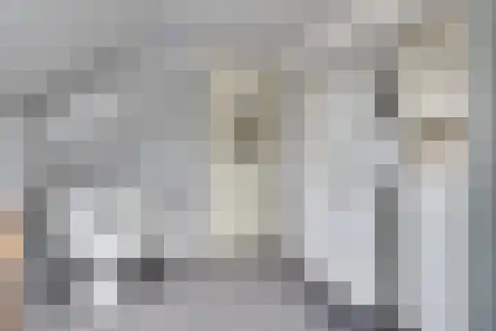 Grote Beerlaan 2 Son en Breugel thumbnail 28