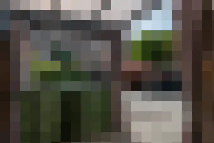 Grote Beerlaan 2 Son en Breugel thumbnail 31