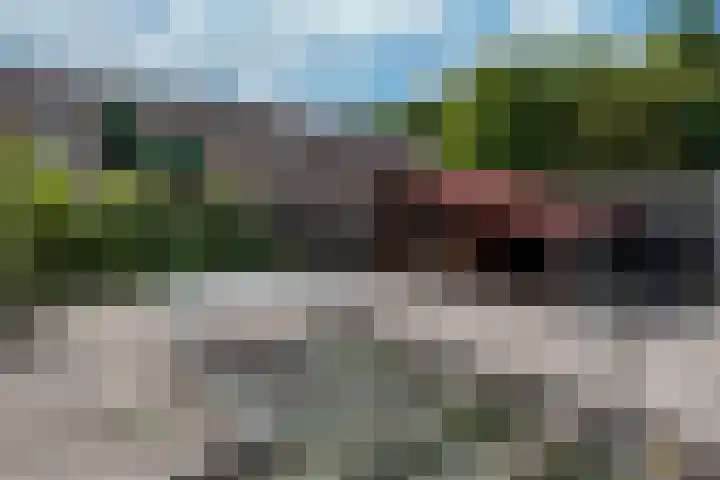 Grote Beerlaan 2 Son en Breugel thumbnail 33