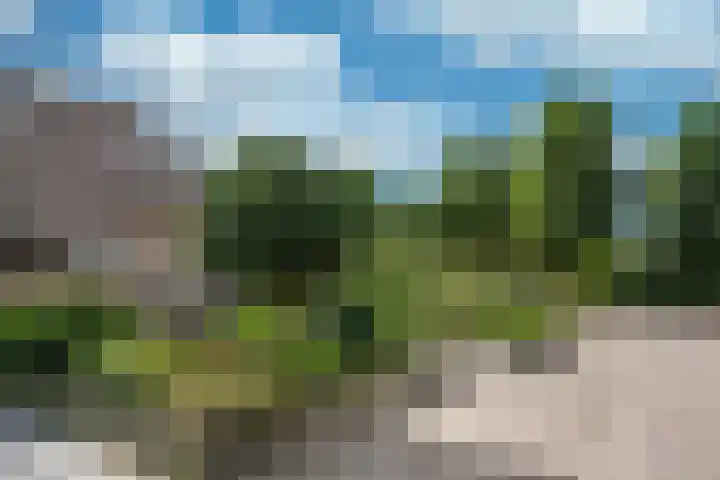 Grote Beerlaan 2 Son en Breugel thumbnail 7