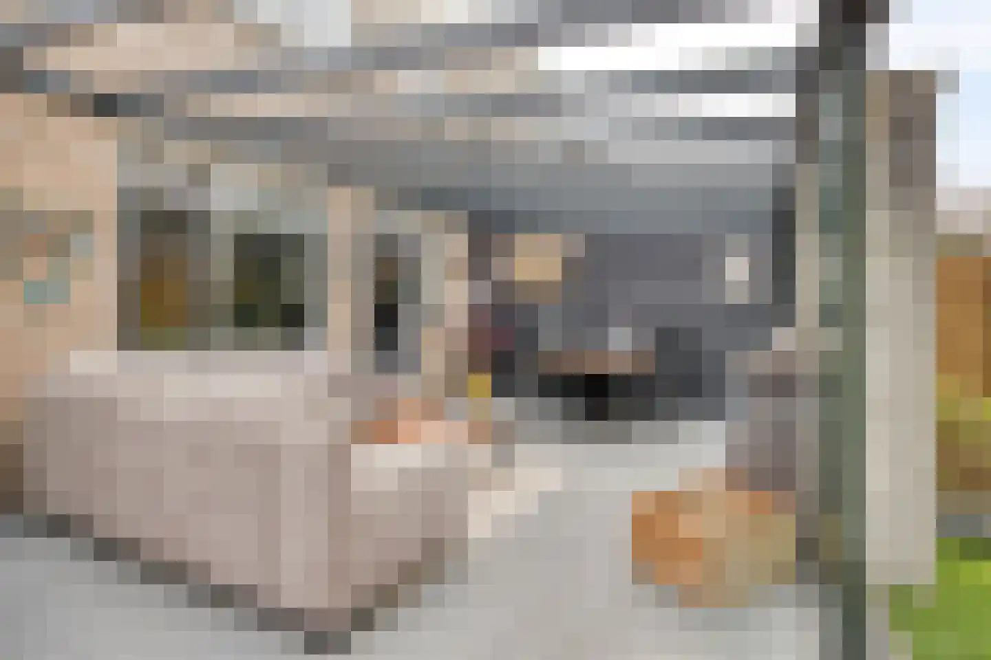 Grote Beerlaan 31 Son en Breugel thumbnail 32
