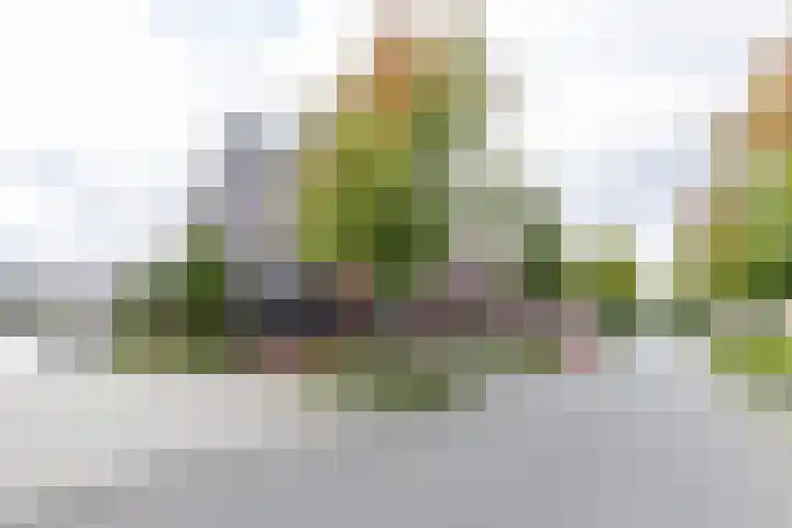 Grote Beerstraat 116 a Groningen thumbnail 6