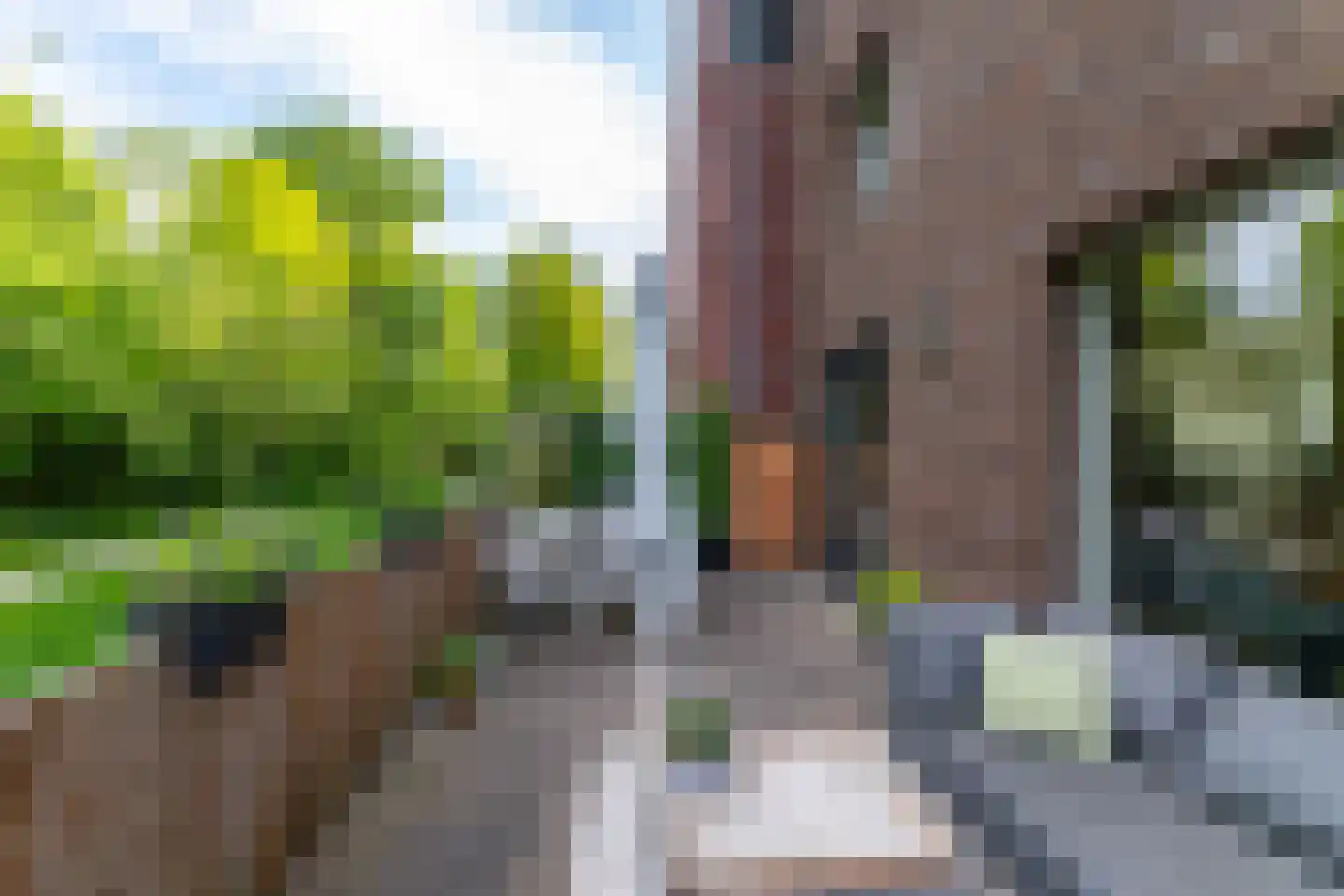 Grote Beerstraat 154 Groningen thumbnail 13