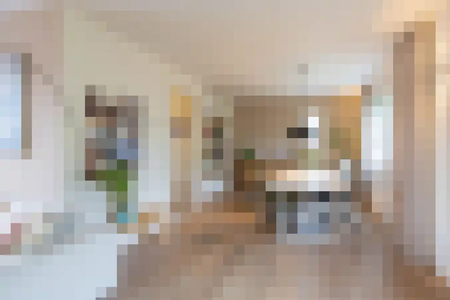 Grote Beerstraat 154 Groningen thumbnail 19