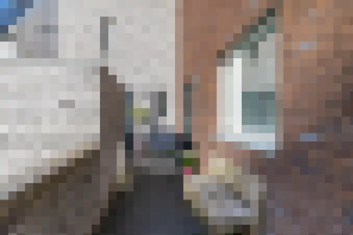 Grote Beerstraat 154 Groningen thumbnail 45
