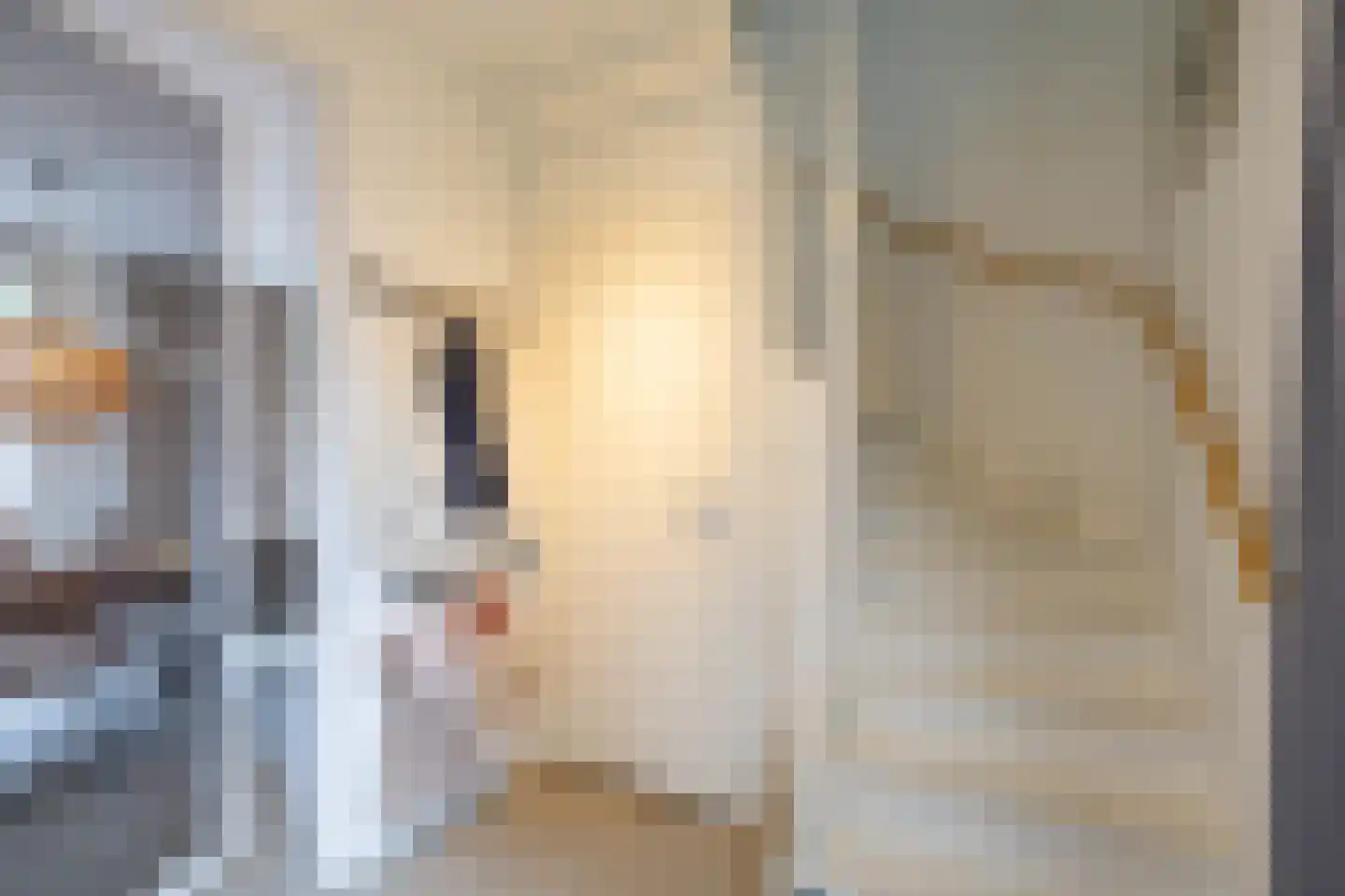 Grote Beerstraat 154 Groningen thumbnail 7