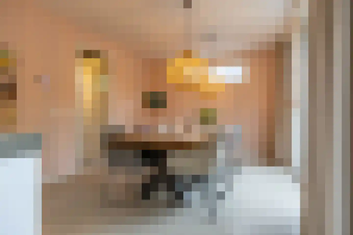 Grote Beerstraat 154 Groningen thumbnail 8