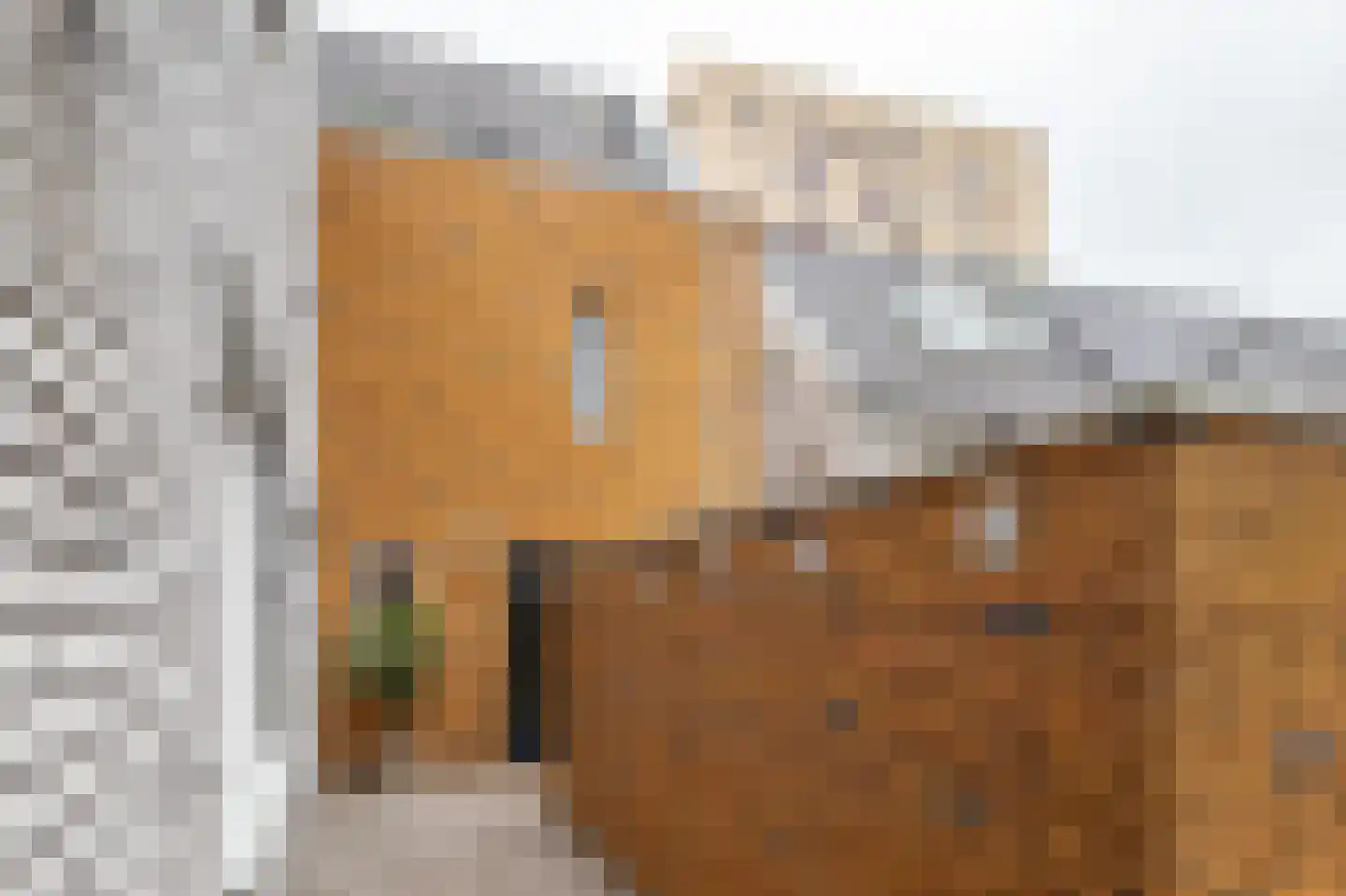 Grote Beerstraat 160 Groningen thumbnail 10