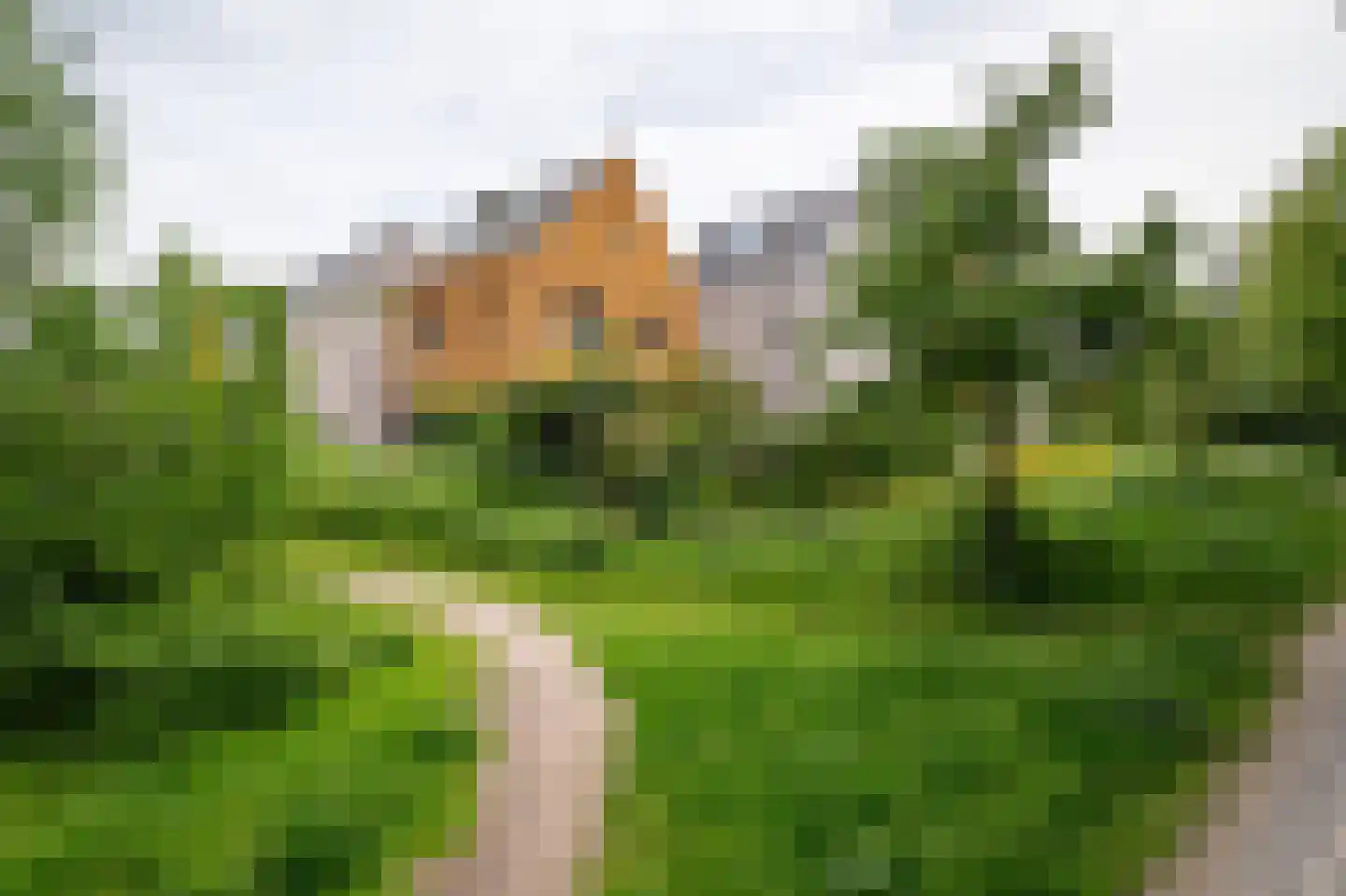 Grote Beerstraat 160 Groningen thumbnail 14