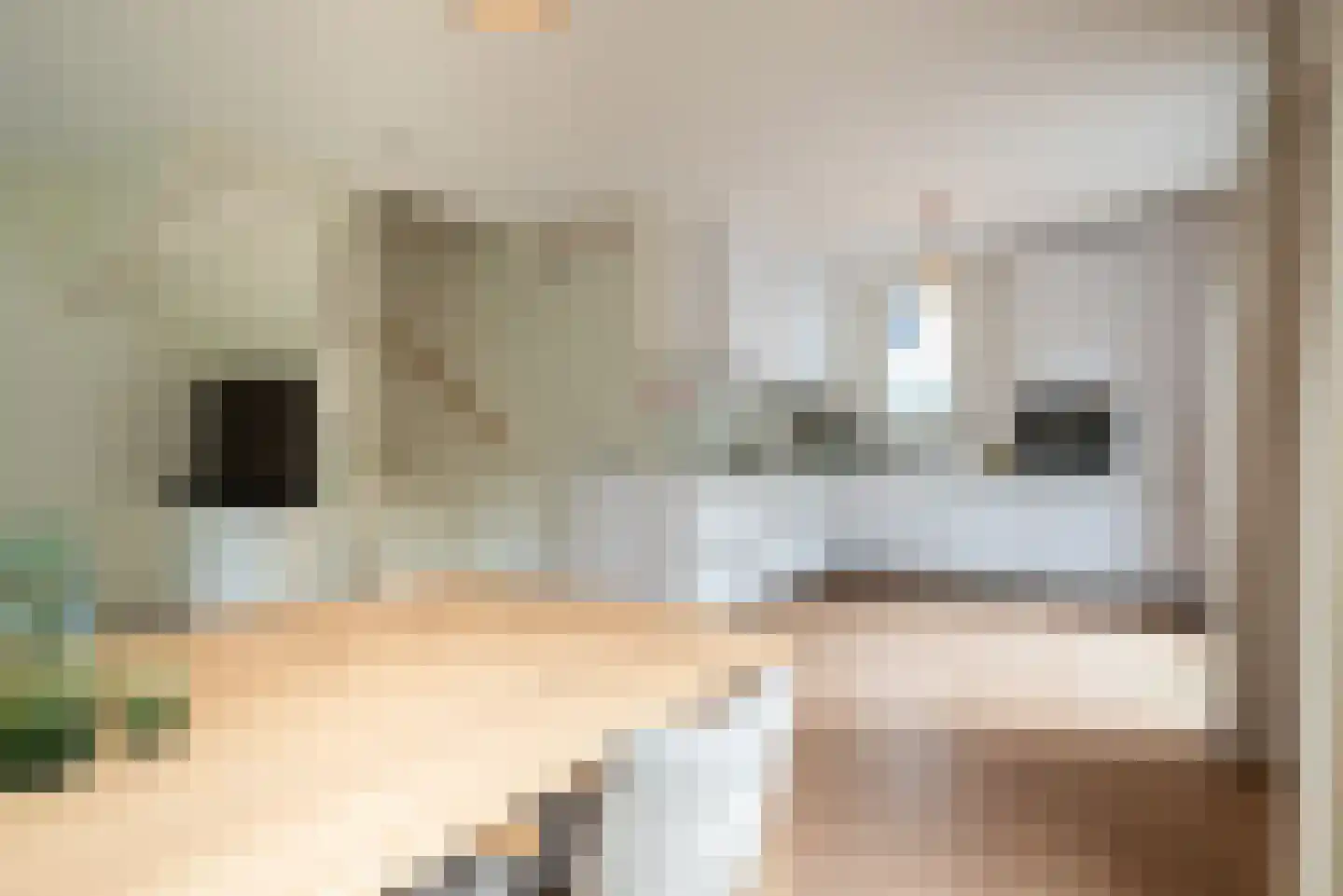 Grote Beerstraat 160 Groningen thumbnail 24