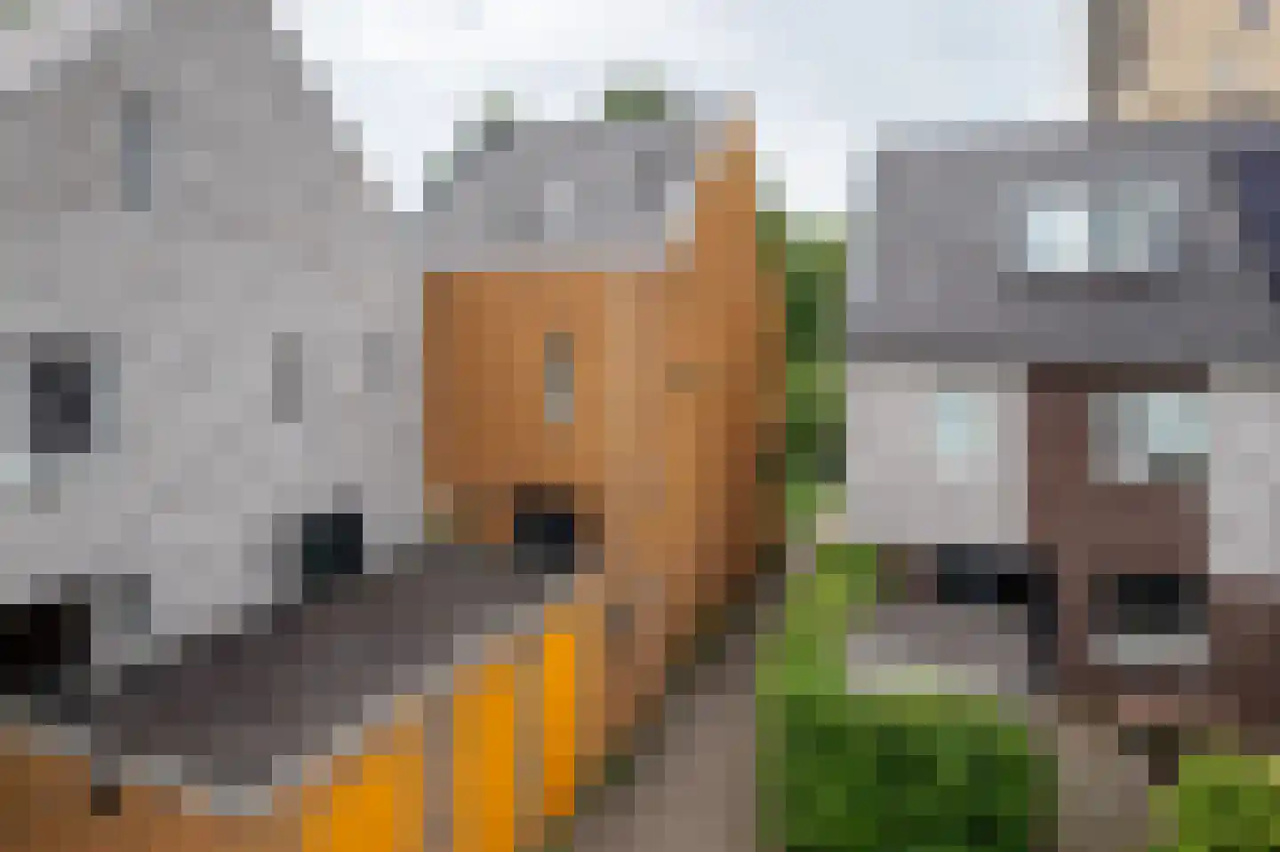Grote Beerstraat 160 Groningen thumbnail 6