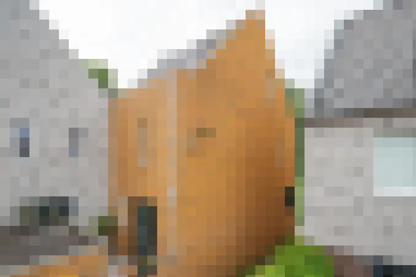 Grote Beerstraat 160 Groningen thumbnail 7