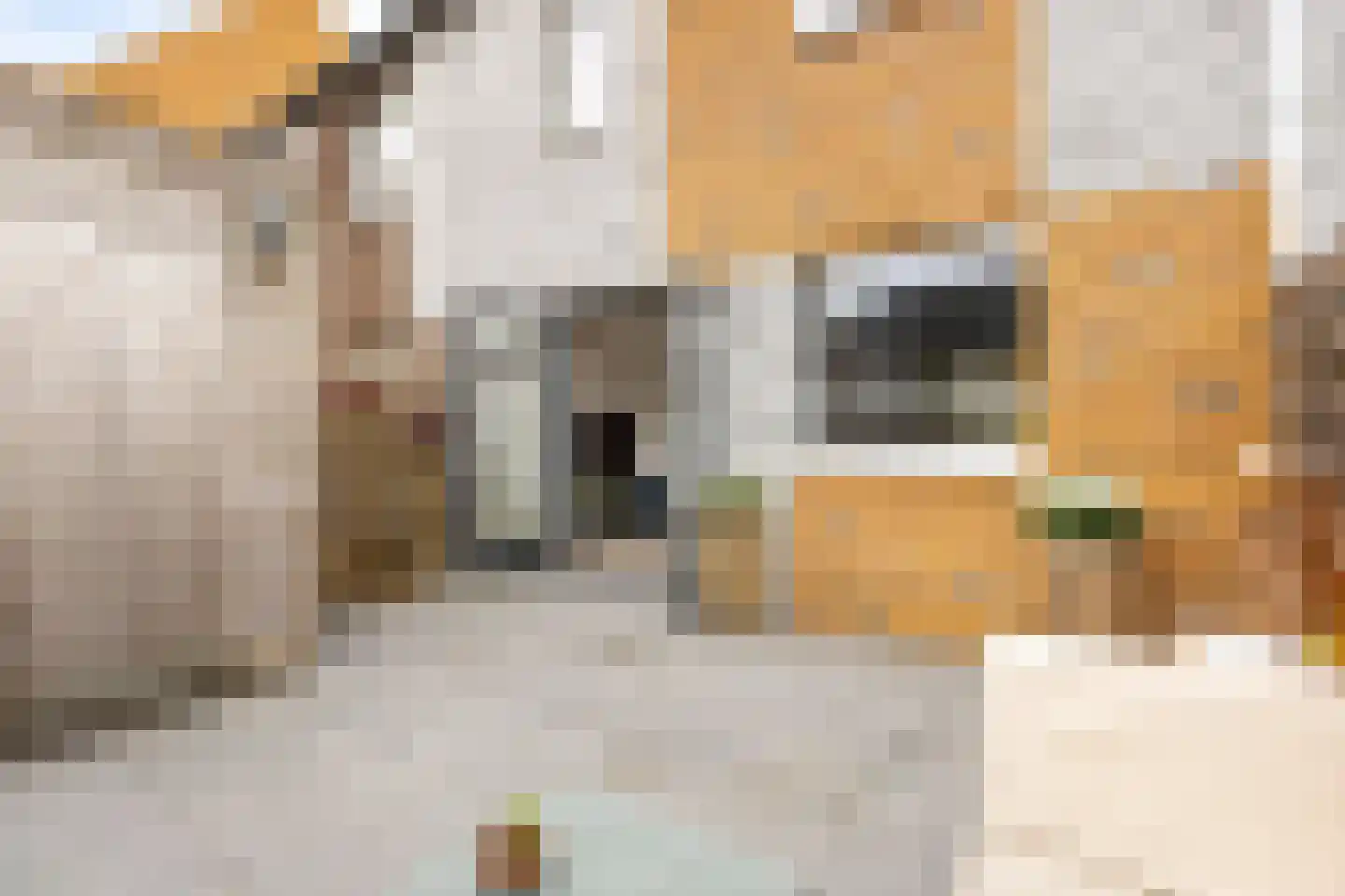 Grote Beerstraat 164 Groningen thumbnail 40