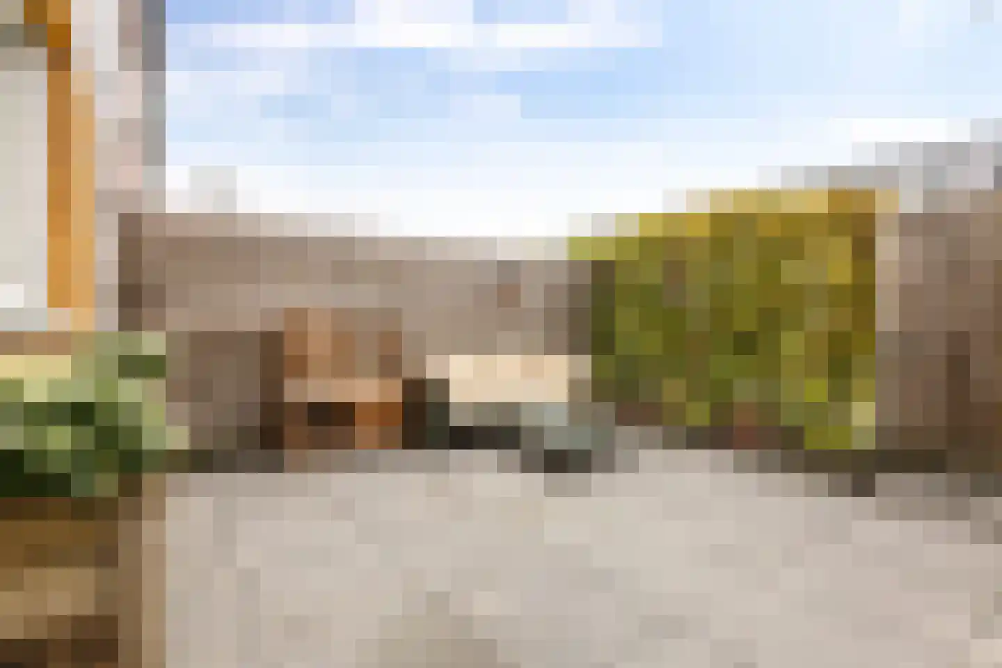 Grote Beerstraat 164 Groningen thumbnail 41