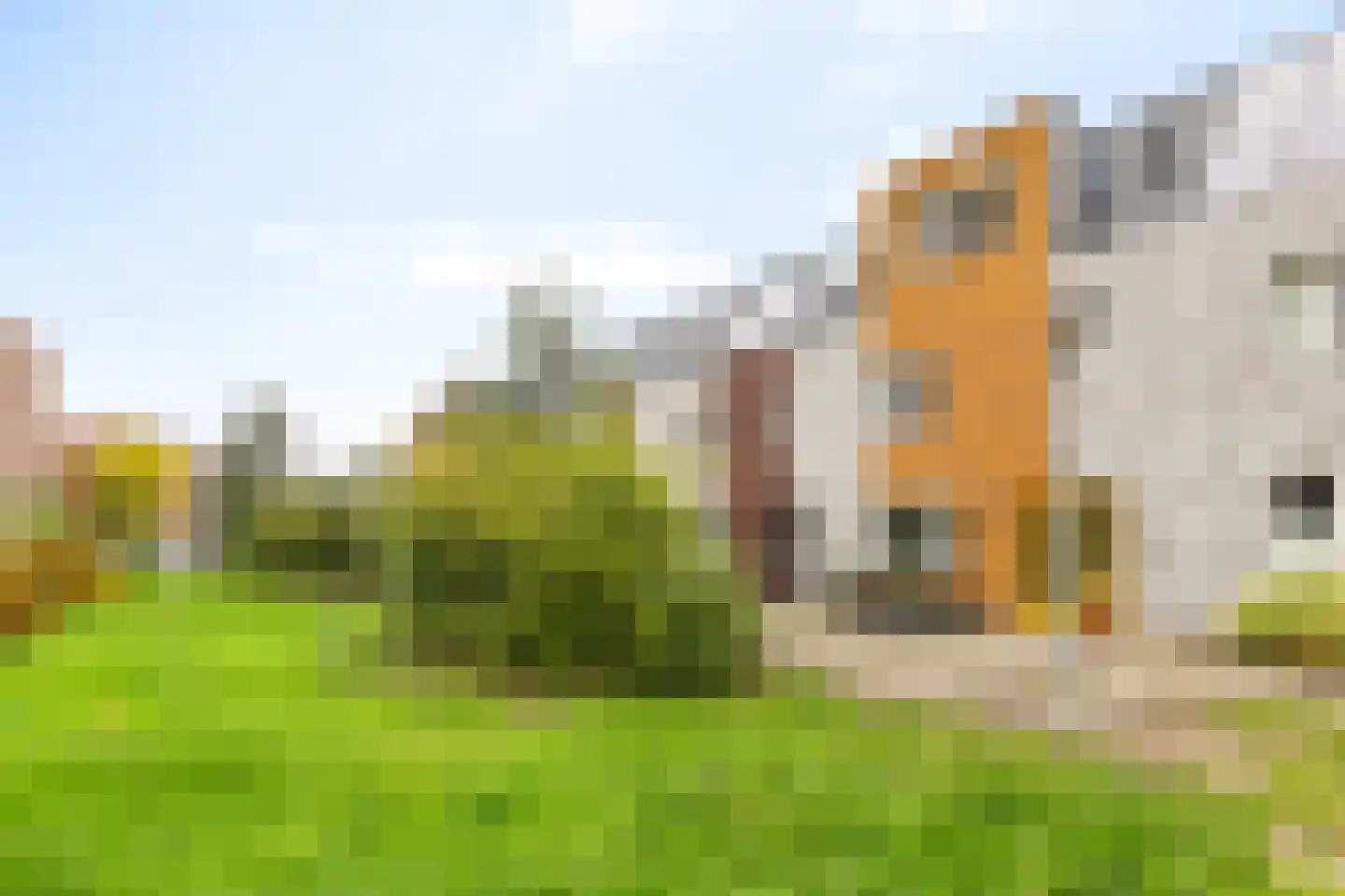 Grote Beerstraat 164 Groningen thumbnail 9