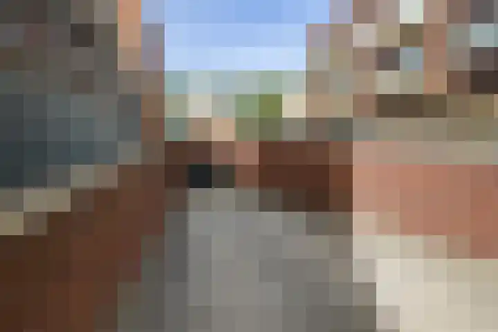 Grote Beerstraat 173 48 Groningen thumbnail 36