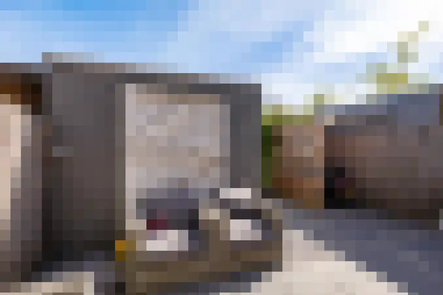 Grote Beerstraat 184 Groningen thumbnail 16