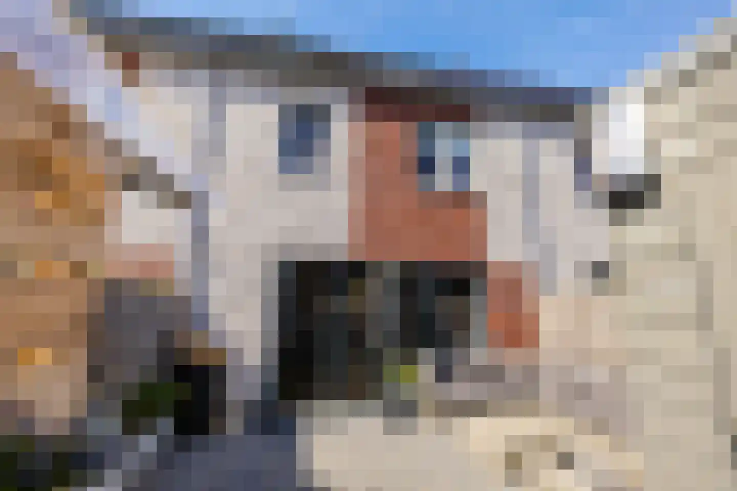 Grote Beerstraat 184 Groningen thumbnail 17
