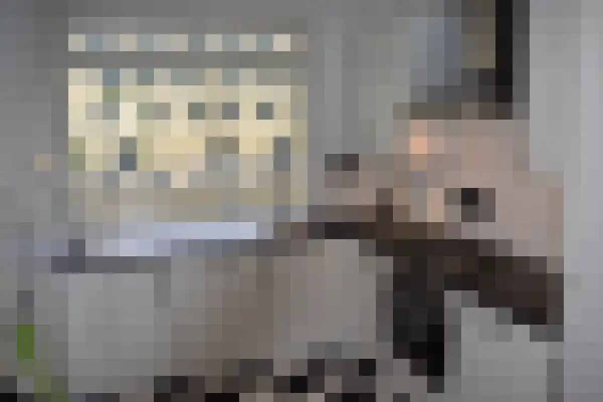 Grote Beerstraat 222 Groningen thumbnail 6
